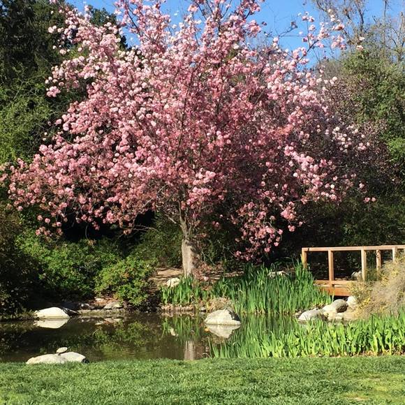 Meet your Posher, Spencer - Picture 1 of 1